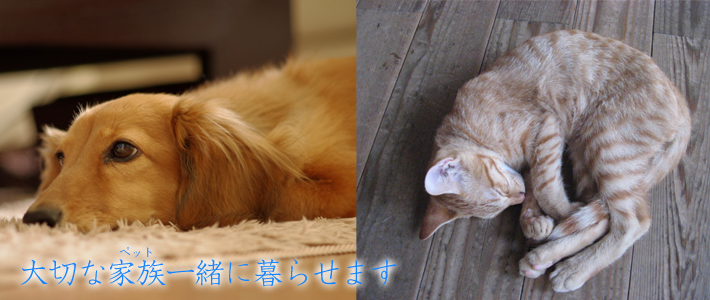 小型ペット（犬・猫）1匹とご入居いただけます